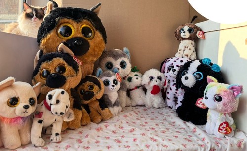 Beanie boo dog lover - boo,