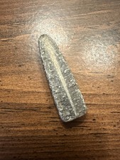 Belemnite Fossil