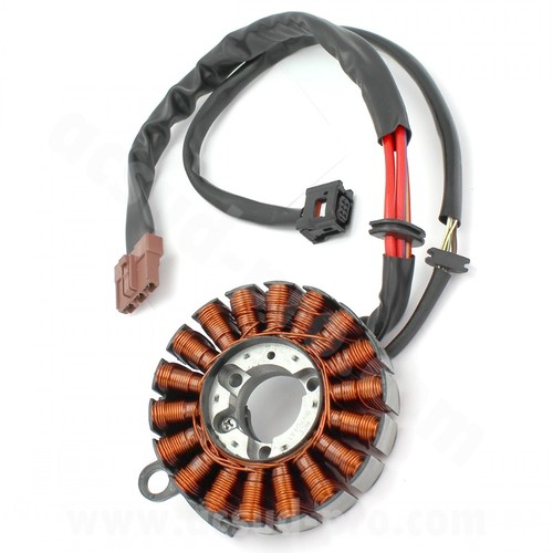 Pole ignition stator - ignition,
