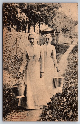 Tillie sabina the mennonite - &,