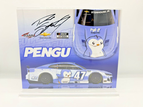 Pudgy penguins pengu rare - penguins,