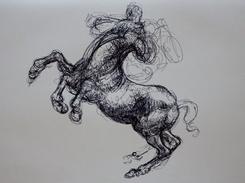 Horse drawing leonardo - leonardo,