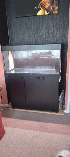 Aquarium fish tank - fish,