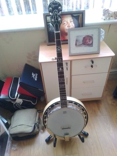 Ozark string banjo - ozark,