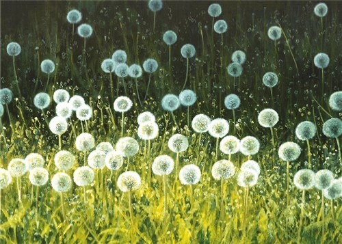 Dandelion clocks fine art - clocks,