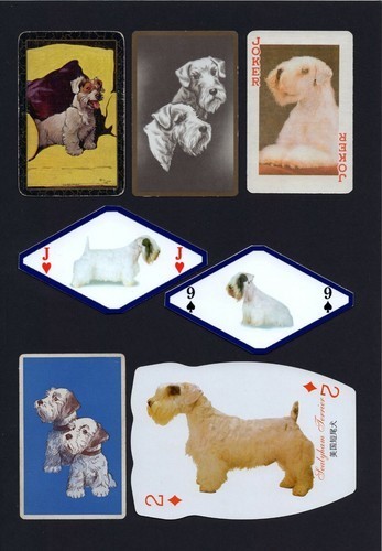 Sealyham terrier mounted set - sealyham,