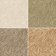 Zebra Animal Print Wallpaper