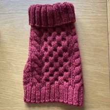 Teacup Chihuahua/ Yorkie Dog