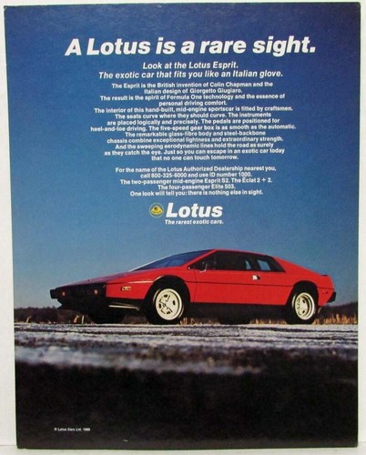 1980 lotus esprit dealer - 1980,