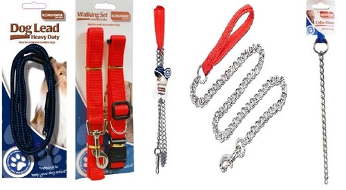 Pet leash dog - /, collar