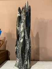 Crystal, Fossil, Orthoceras