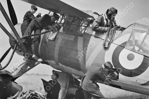 Royal air force westland - royal,