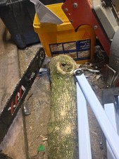 Boxwood timber any size cut - boxwood, to