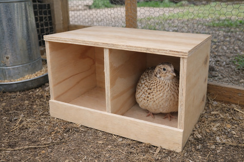 Wooden double nesting box - double,