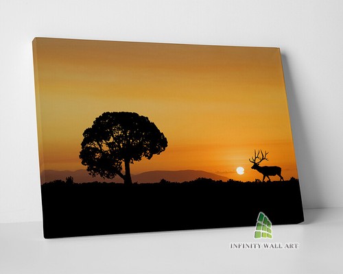 Deer stag sunset canvas art - deer,