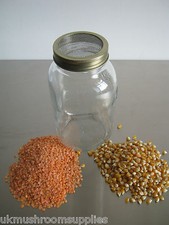 JAR SPROUTING KIT- SPROUTER 