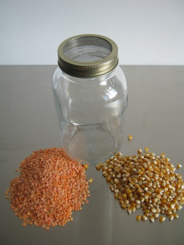 Jar sprouting kit sprouter - jar,
