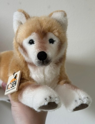 Kösen shiba inu - inu, puppy