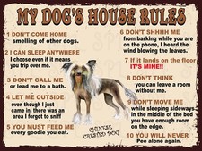 Chinese Crested Dog My Dog's