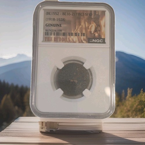 Tibet sho coin - tibet,