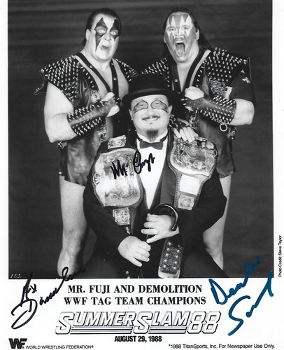 Wrestling legends demolition - legends,