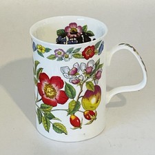 ROY KIRKHAM Dog Rose  Fine