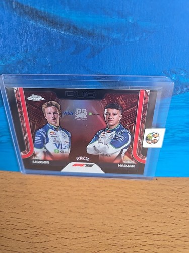 Racing bulls duo - bulls,