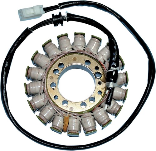 Rick motorsport electric oem - motorsport,
