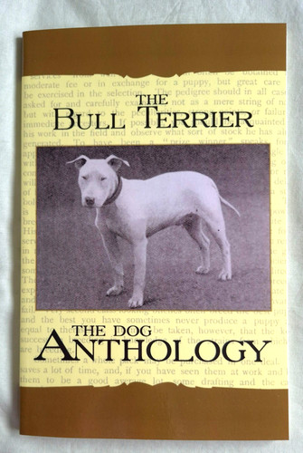 The bull terrier dog - the,