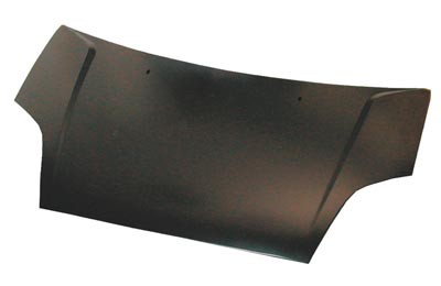 Fits ford fiesta bonnet - fits,