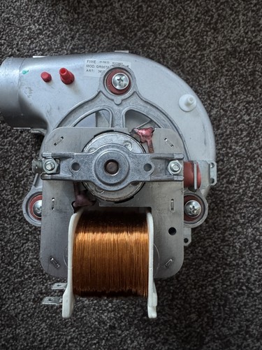 Ferroli fan assembly - fan,