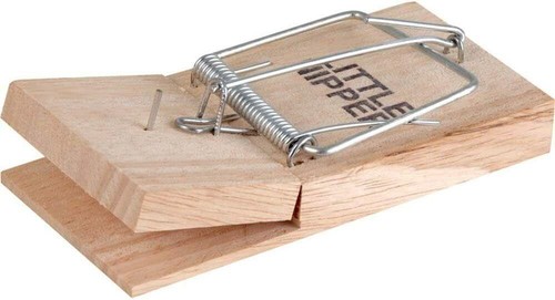 Pack genuine little - of,