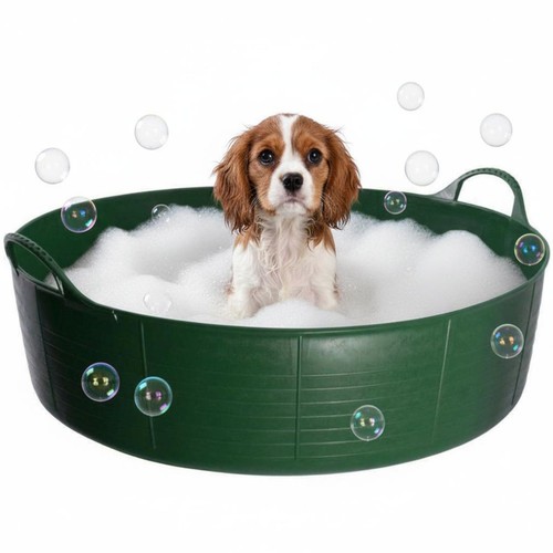 Green dog bath paddling - dog,