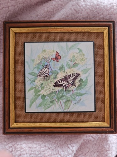 Butterfly miniature framed - butterfly,