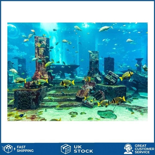 Vibrant tropical fish aquarium - tropical,