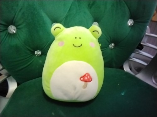 Wendy the frog squishmallow - wendy,