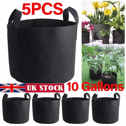 Pack large plant grow - large,