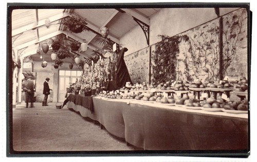 Postcard size photograph - postcard-size, of