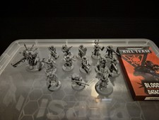 Warhammer 40k Kill Team Chaos Renegade Guard Blooded - 14 Minis + Data Cards