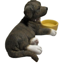 STAFFORDSHIRE BULL TERRIER PUP DOG GIFT BOXED NEW