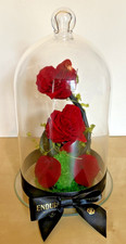 Endura Rose 2 red roses and petals 100% Natural Preserved Last A Lifetime