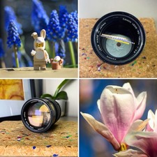 Canon FD 135mm f/2.8 Portrait