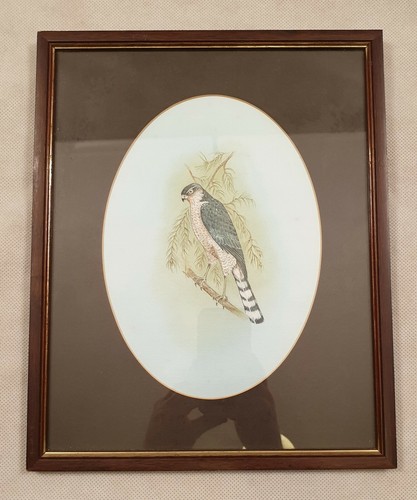 Framed british watercolour - framed,