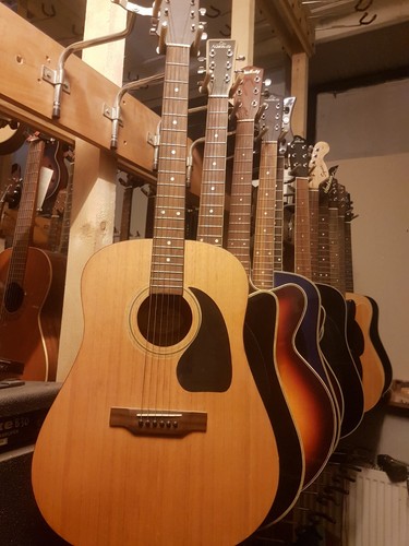 1995 epiphone acoustic - 1995,