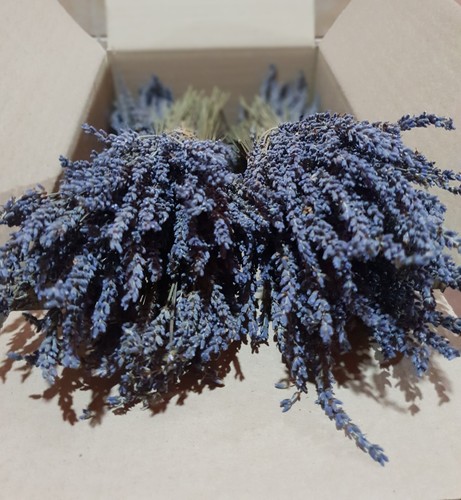Greek dried lavender bunches - dried,