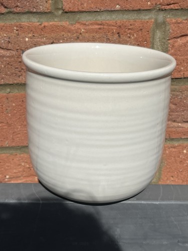 Cream plant pot ceramic - plant,