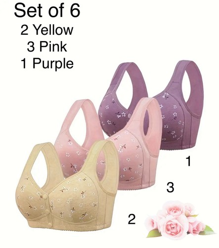 Set 6 snap - 6,