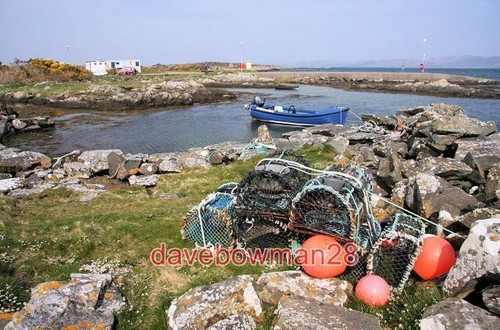 Photo portan sean reidhe - photo,