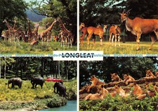 D075912 The Lions of Longleat. Giraffe. Zebra. Camel. Elephant. Eland. Rhino. Jo