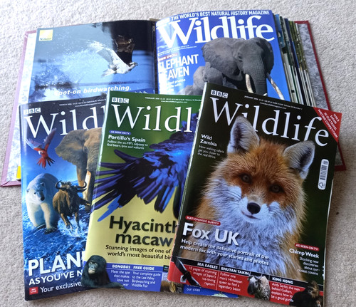 Bbc wildlife magazine 2006 - bbc,